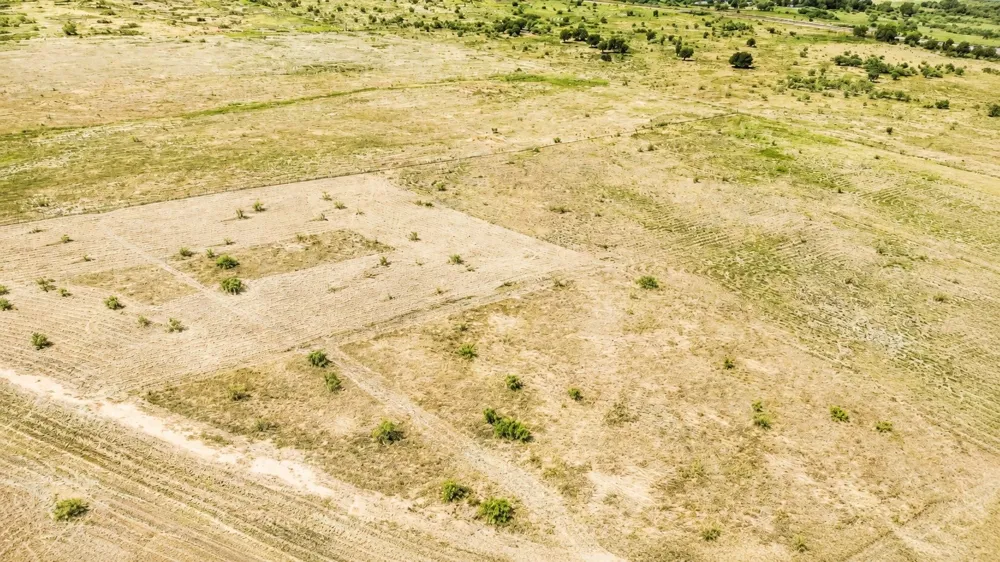 US 81 Highway Bowie, TX 76230