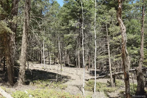 616 Indian Creek Road