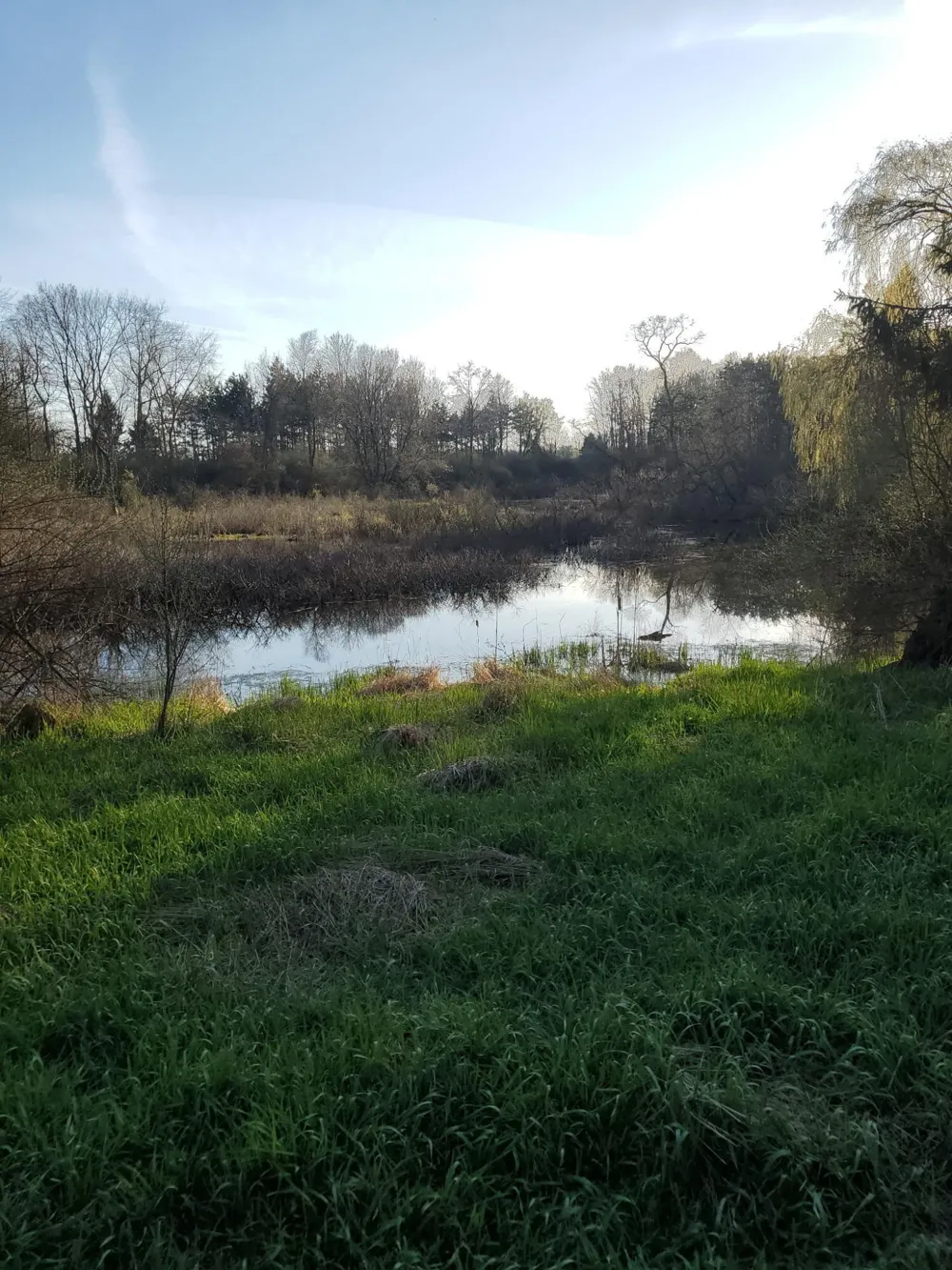 4500 W Howard City-Edmore Belvidere Township, MI 48886