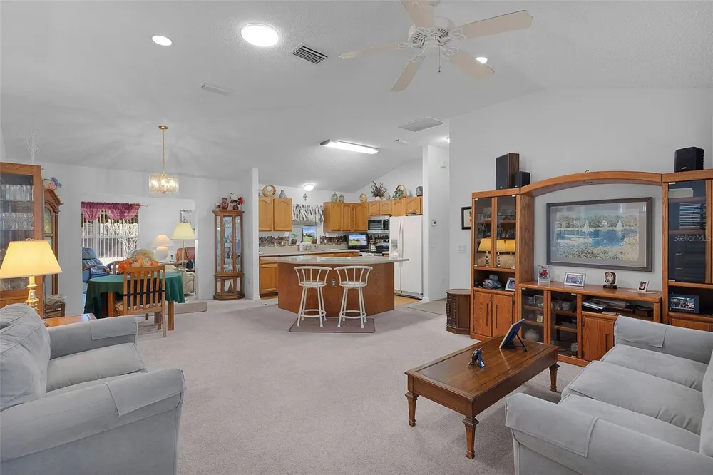 1115 SALIDO AVENUE The Villages, FL 32159