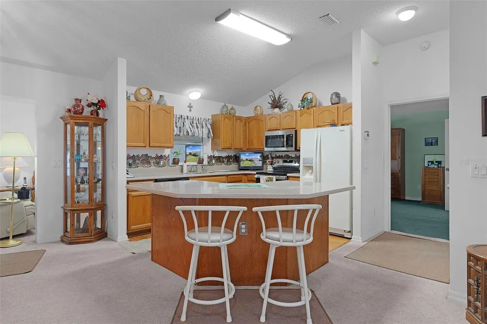 1115 SALIDO AVENUE The Villages, FL 32159