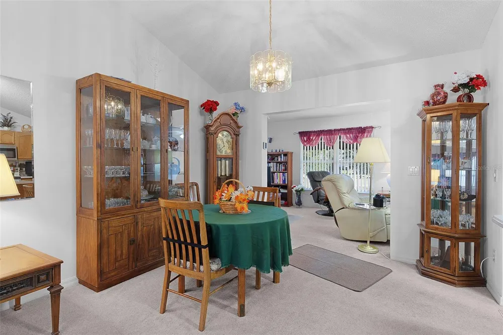 1115 SALIDO AVENUE The Villages, FL 32159