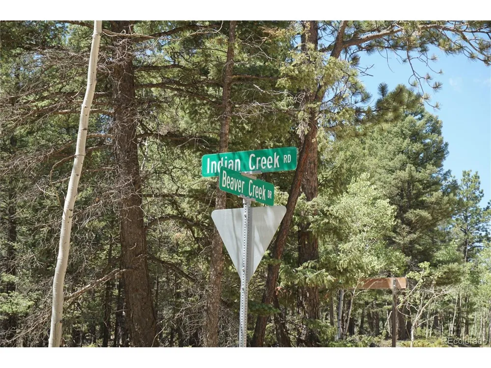 616 Indian Creek Road Florissant, CO 80816