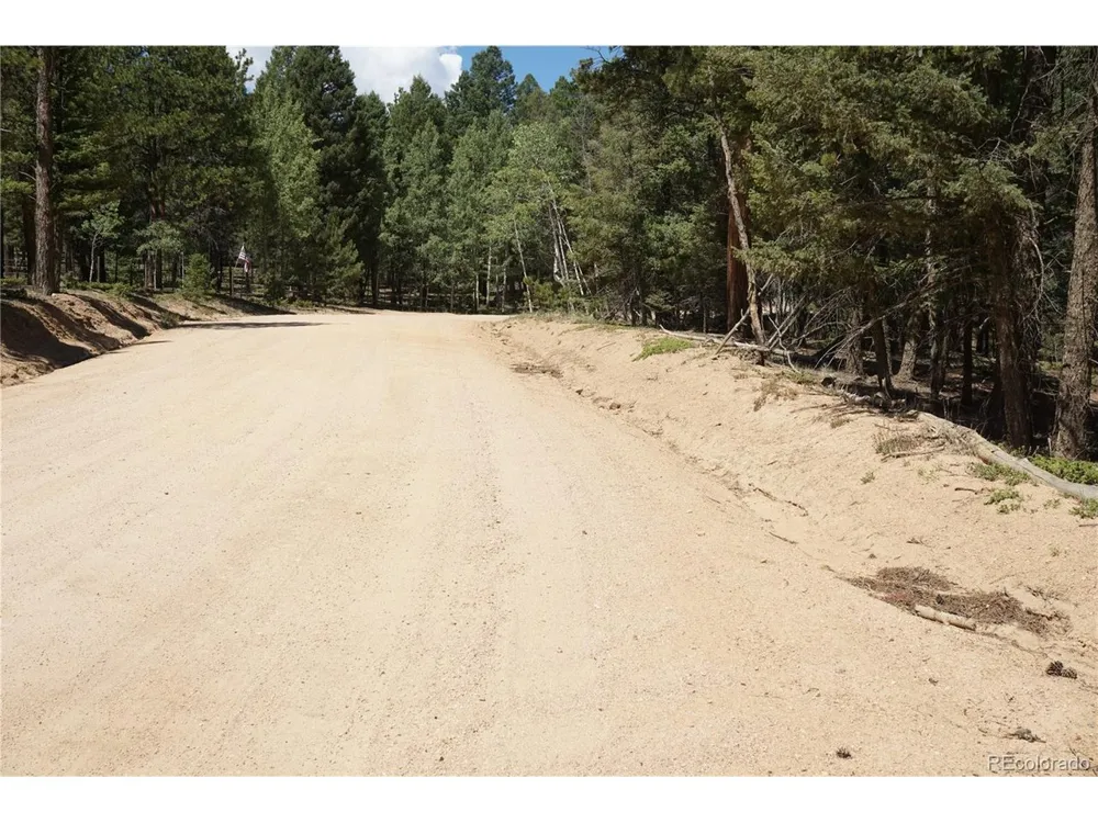616 Indian Creek Road Florissant, CO 80816