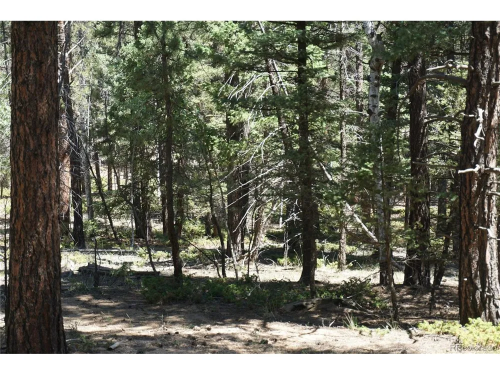616 Indian Creek Road Florissant, CO 80816