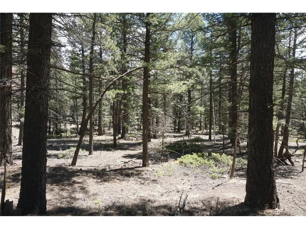 616 Indian Creek Road Florissant, CO 80816