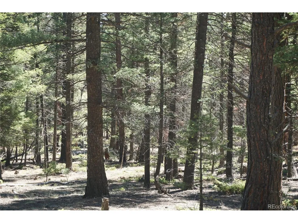 616 Indian Creek Road Florissant, CO 80816