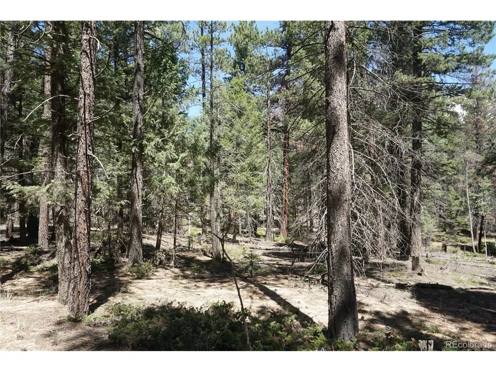 616 Indian Creek Road Florissant, CO 80816