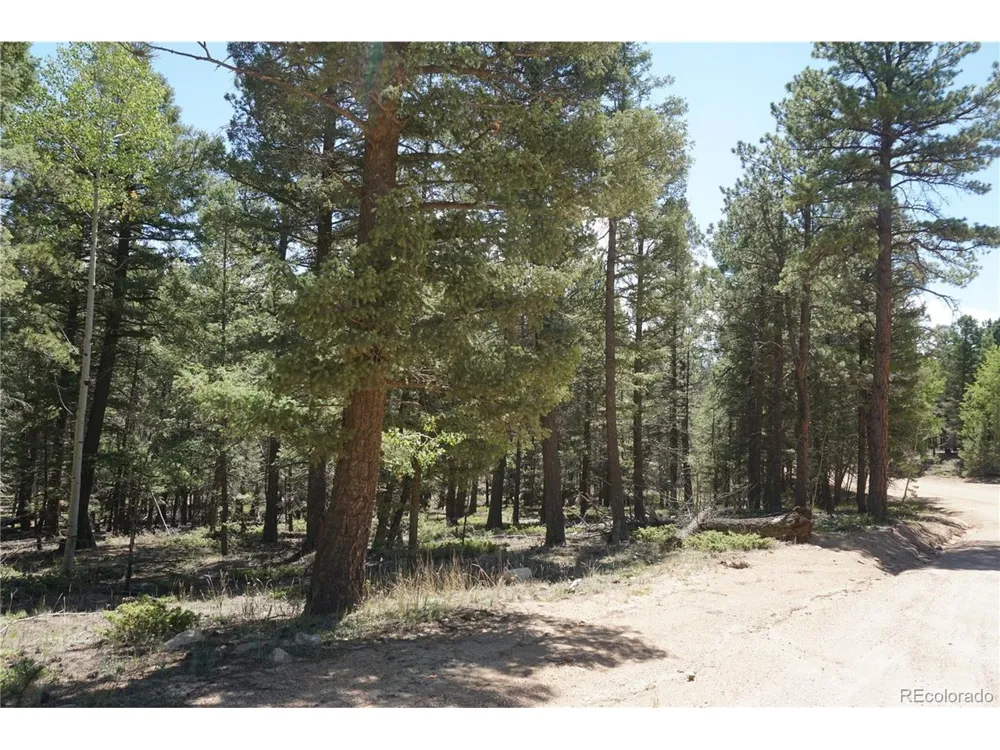 616 Indian Creek Road Florissant, CO 80816