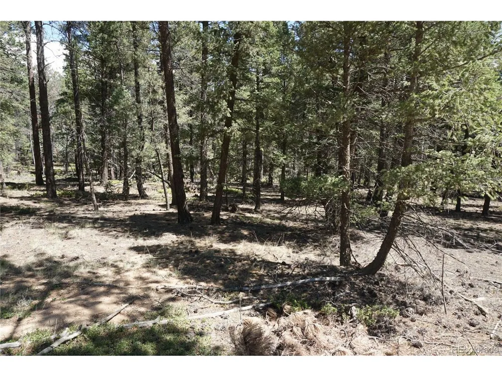 616 Indian Creek Road Florissant, CO 80816