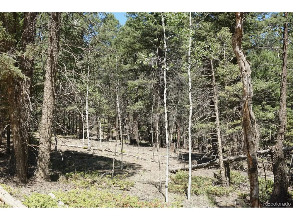 616 Indian Creek Road Florissant, CO 80816