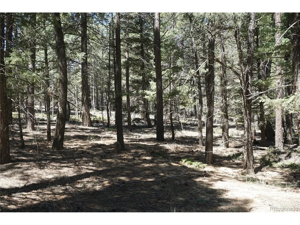 616 Indian Creek Road Florissant, CO 80816