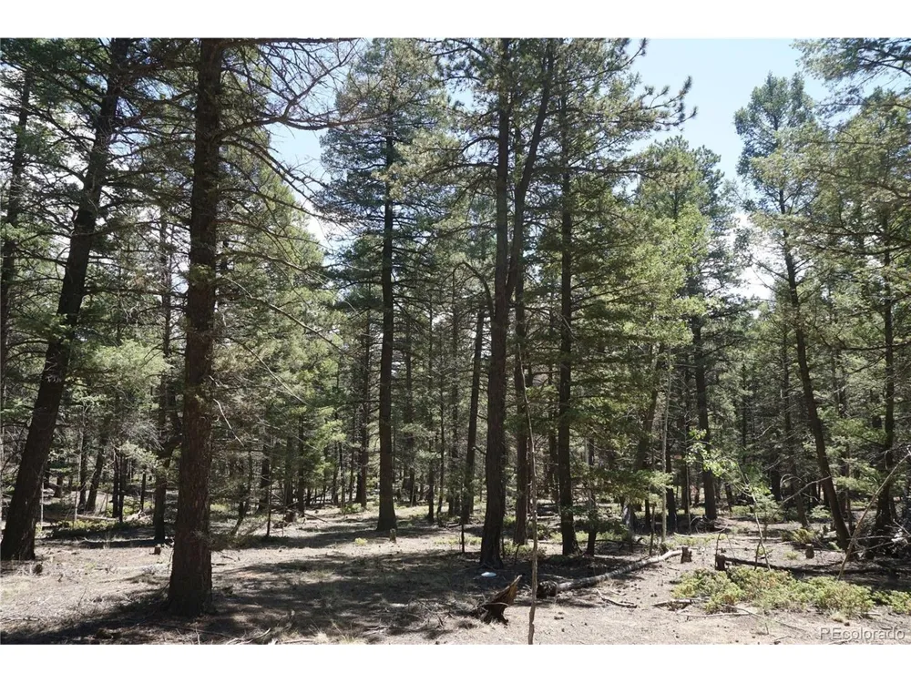 616 Indian Creek Road Florissant, CO 80816