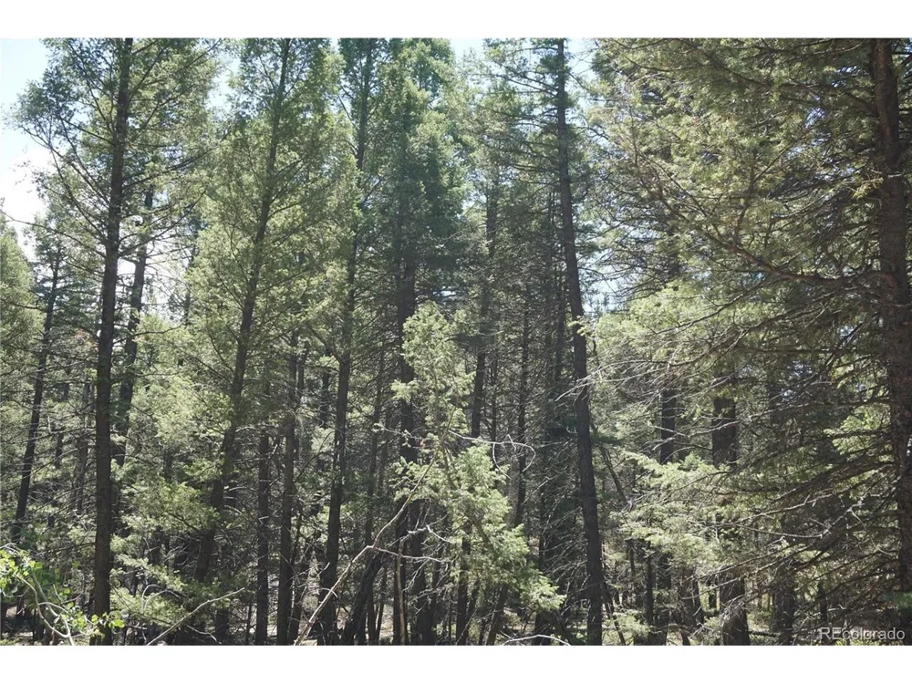 616 Indian Creek Road Florissant, CO 80816