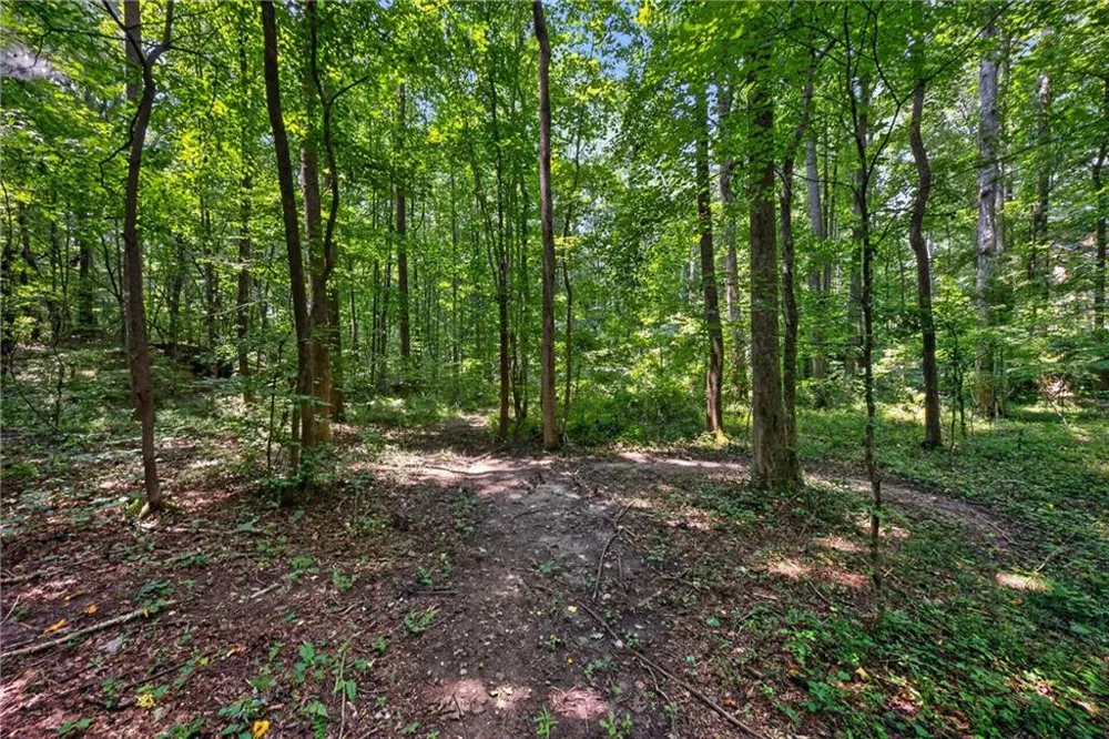 1322 Center Drive Auburn, GA 30011