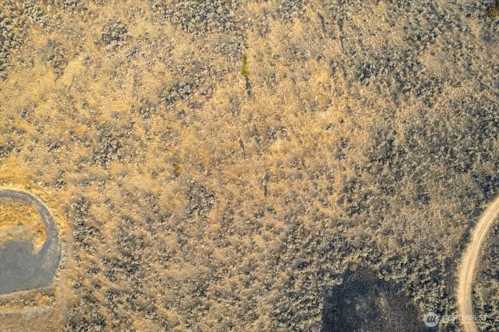 0 Spring Canyon Road Grand Coulee, WA 99133