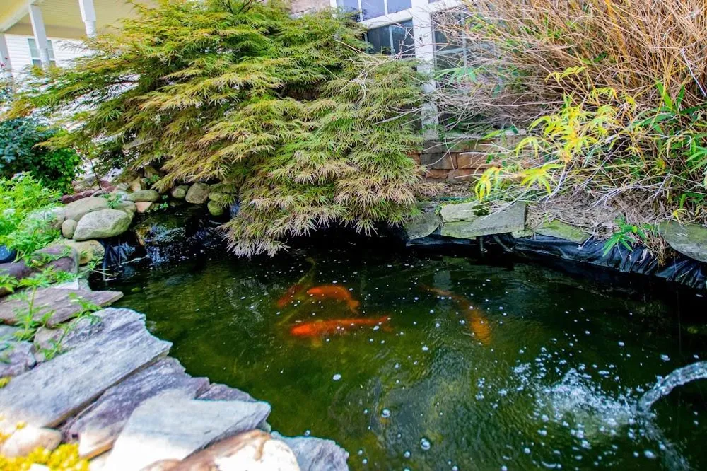 233 Ivey Lake Parkway Temple, GA 30179