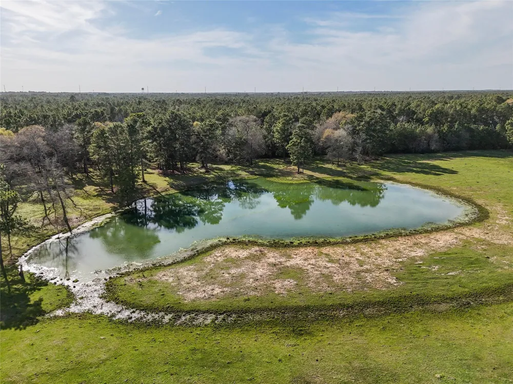 26250 Riley Road Waller, TX 77484