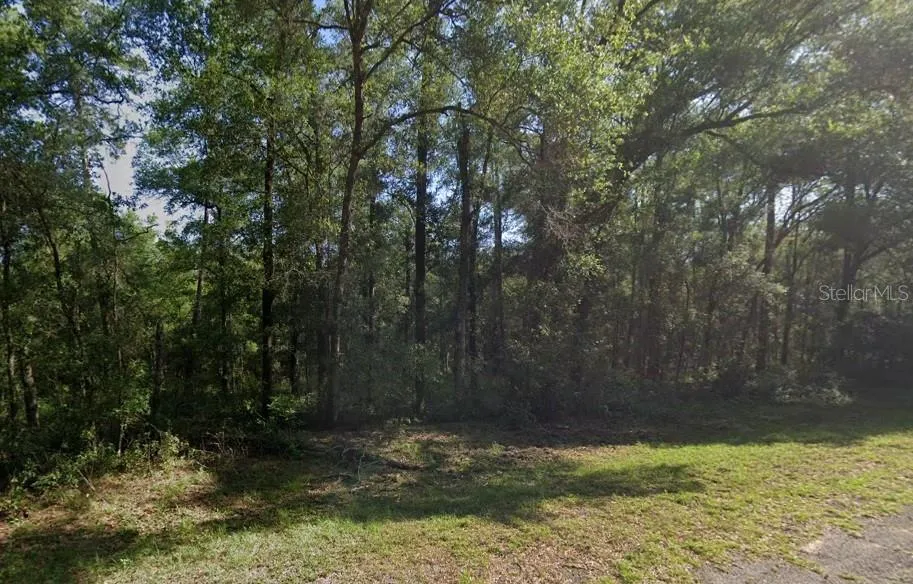 471 E AVONDALE DRIVE Citrus Springs, FL 34434