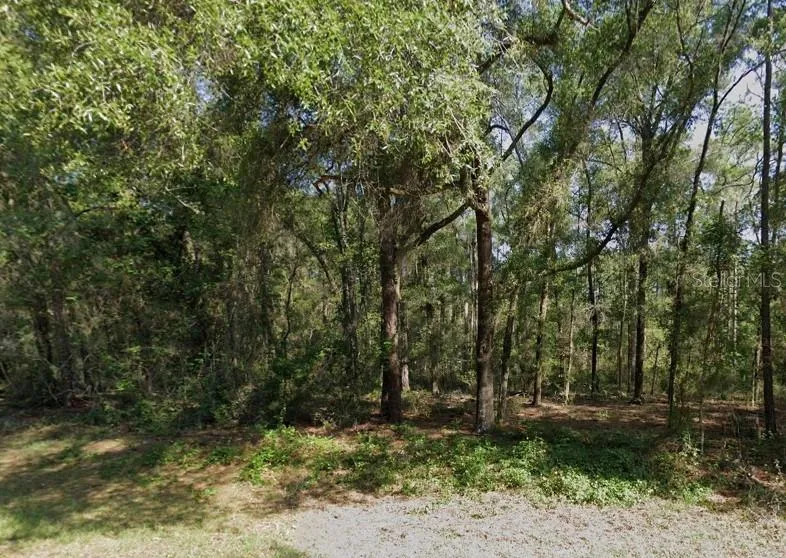471 E AVONDALE DRIVE Citrus Springs, FL 34434