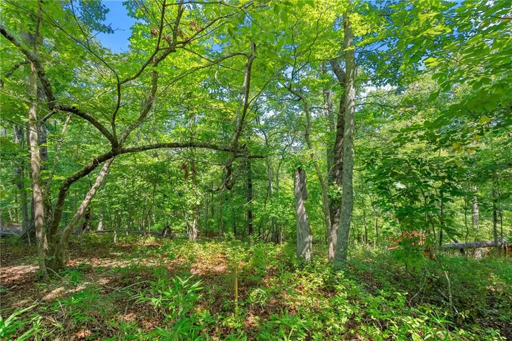 0 Flat Rock Point Dahlonega, GA 30533