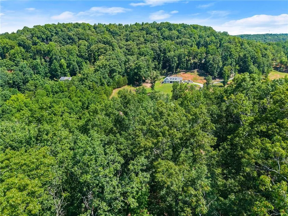 0 Flat Rock Point Dahlonega, GA 30533