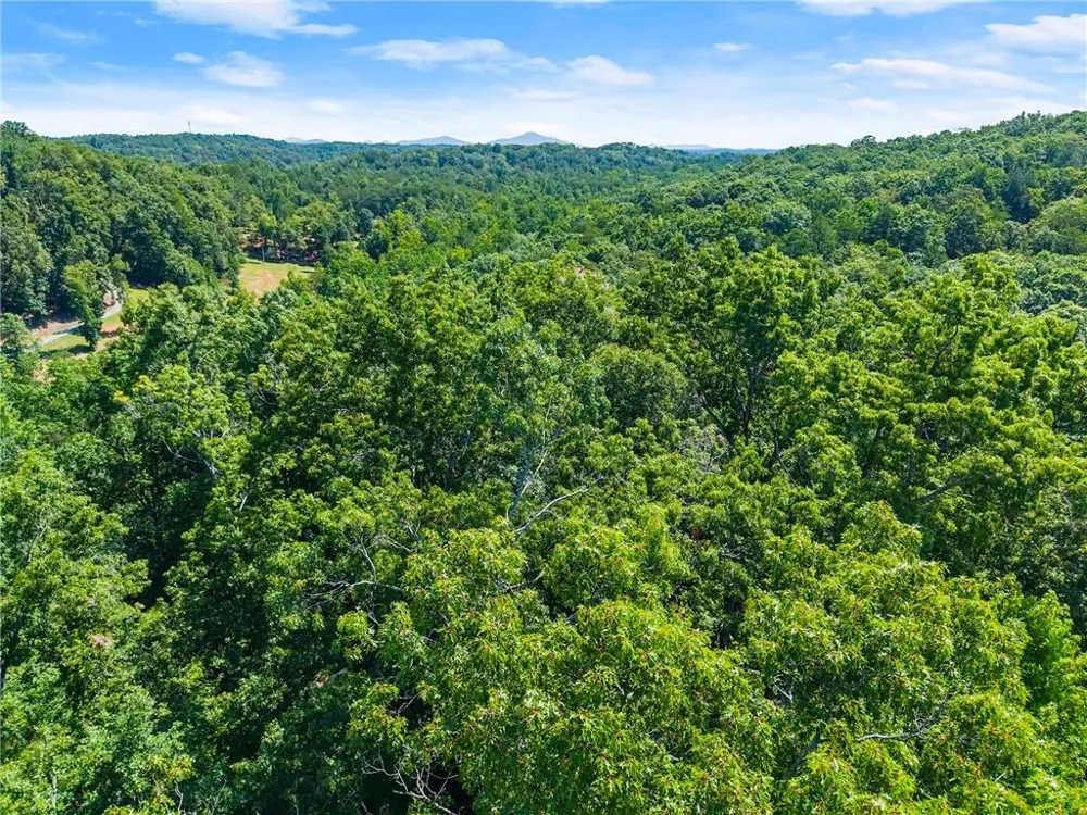 0 Flat Rock Point Dahlonega, GA 30533