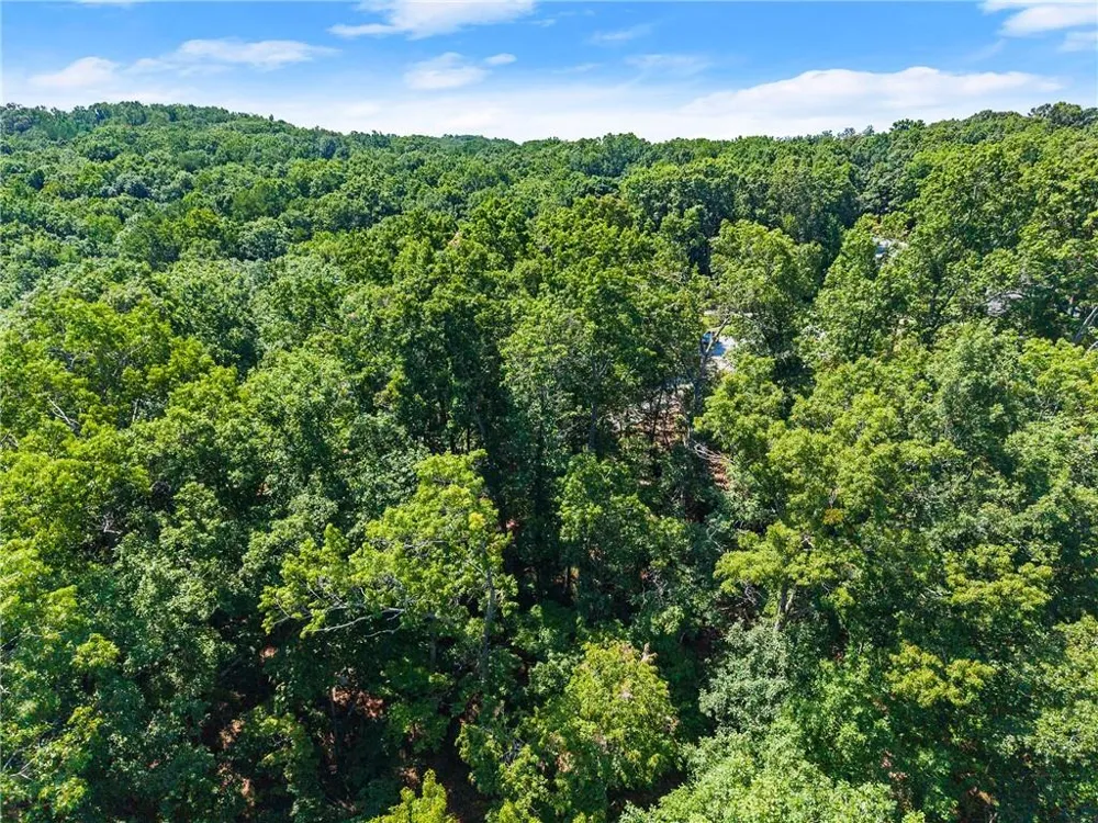 0 Flat Rock Point Dahlonega, GA 30533