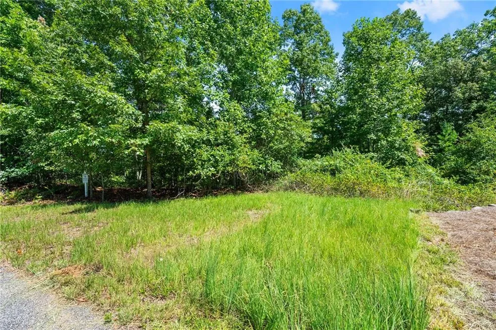 0 Flat Rock Point Dahlonega, GA 30533