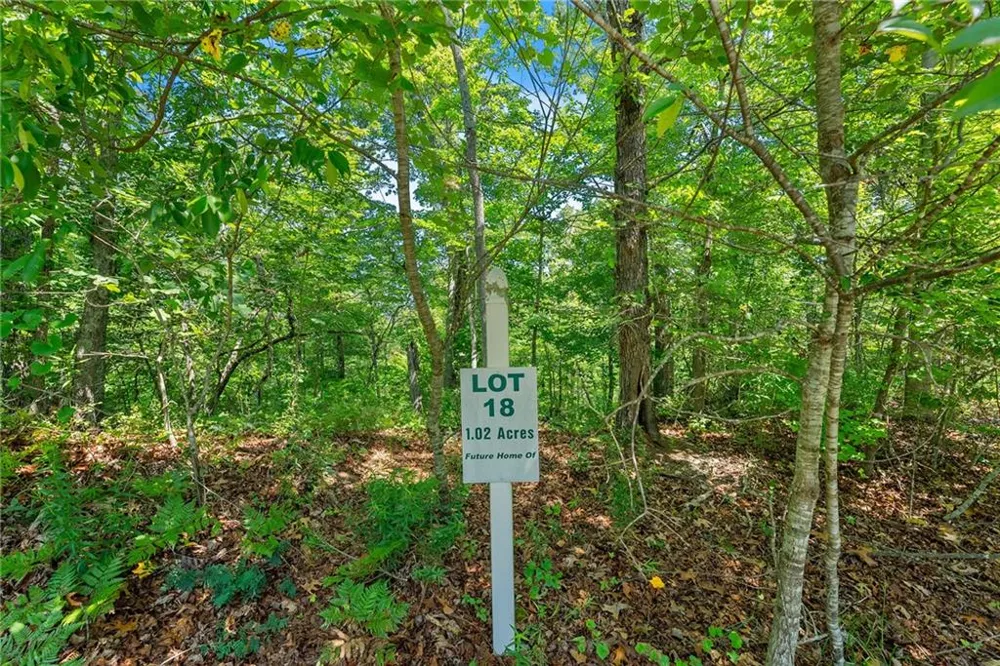 0 Flat Rock Point Dahlonega, GA 30533