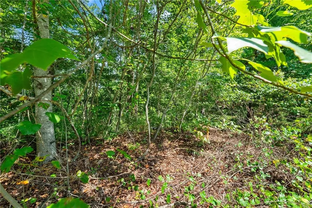 0 Flat Rock Point Dahlonega, GA 30533