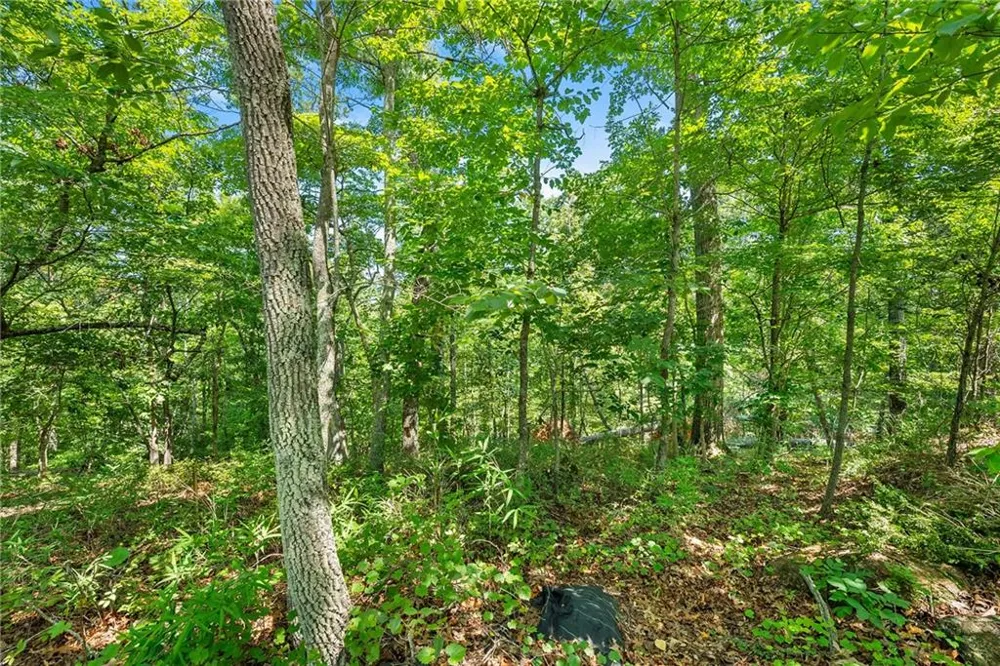 0 Flat Rock Point Dahlonega, GA 30533