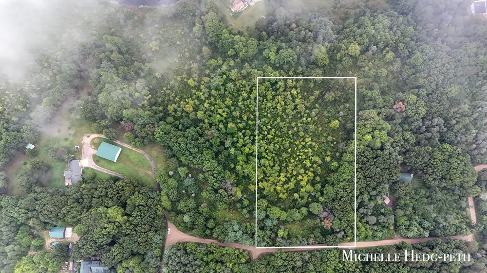 Spruce Hollow Drive #Parcel A Middleville, MI 49333