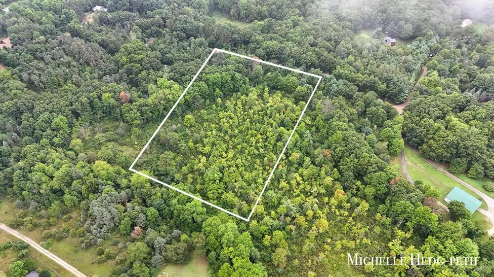 Spruce Hollow Drive #Parcel A Middleville, MI 49333