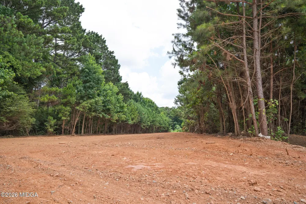 111 Askin Place Culloden, GA 31016