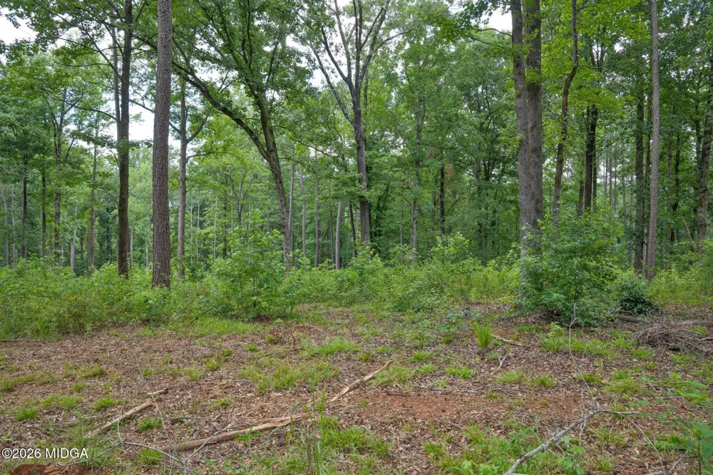 500 Askin Place Road Culloden, GA 31016