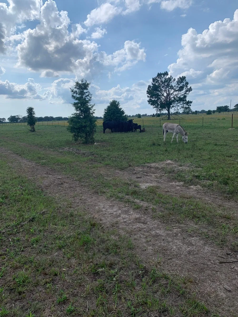 10658 County Road 350 Terrell, TX 75160