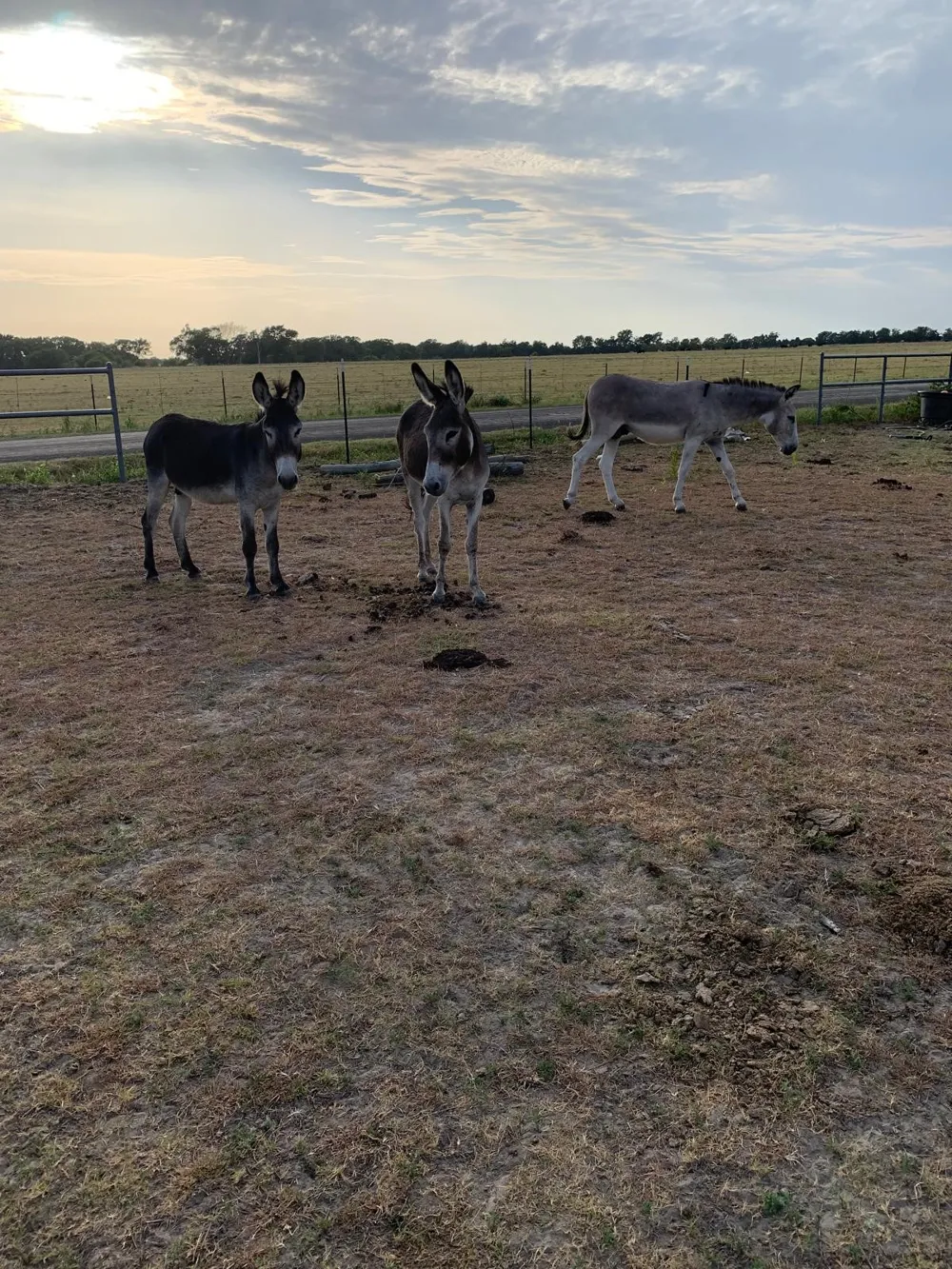 10658 County Road 350 Terrell, TX 75160