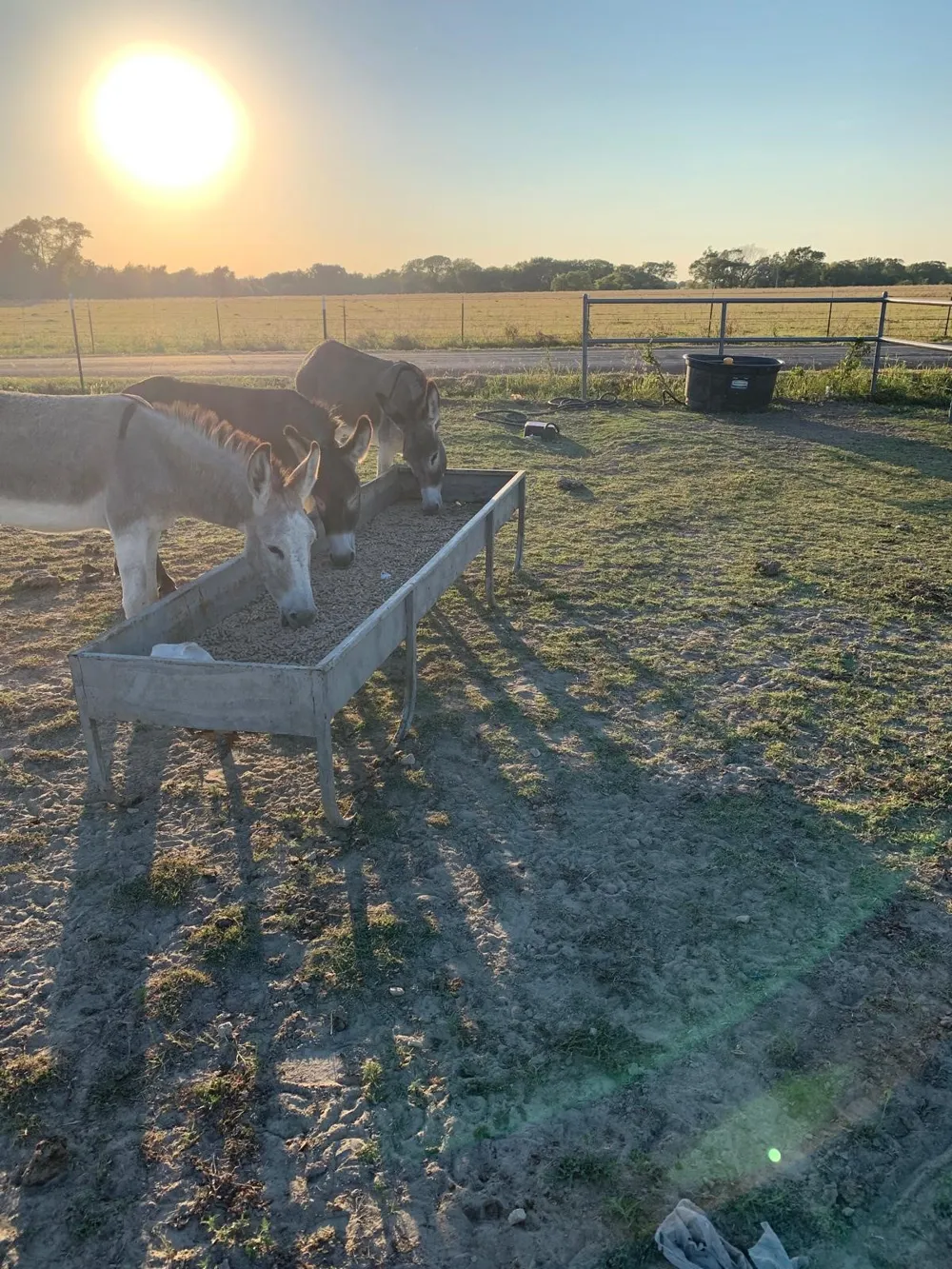 10658 County Road 350 Terrell, TX 75160