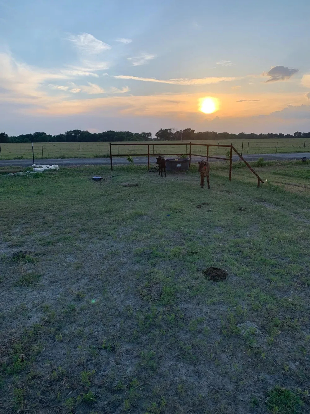 10658 County Road 350 Terrell, TX 75160