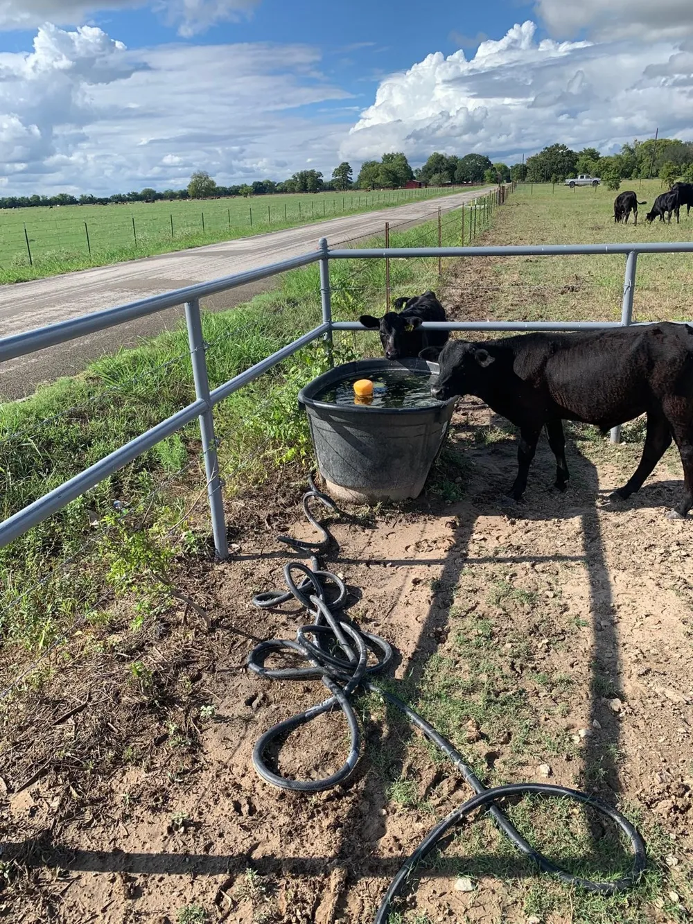 10658 County Road 350 Terrell, TX 75160