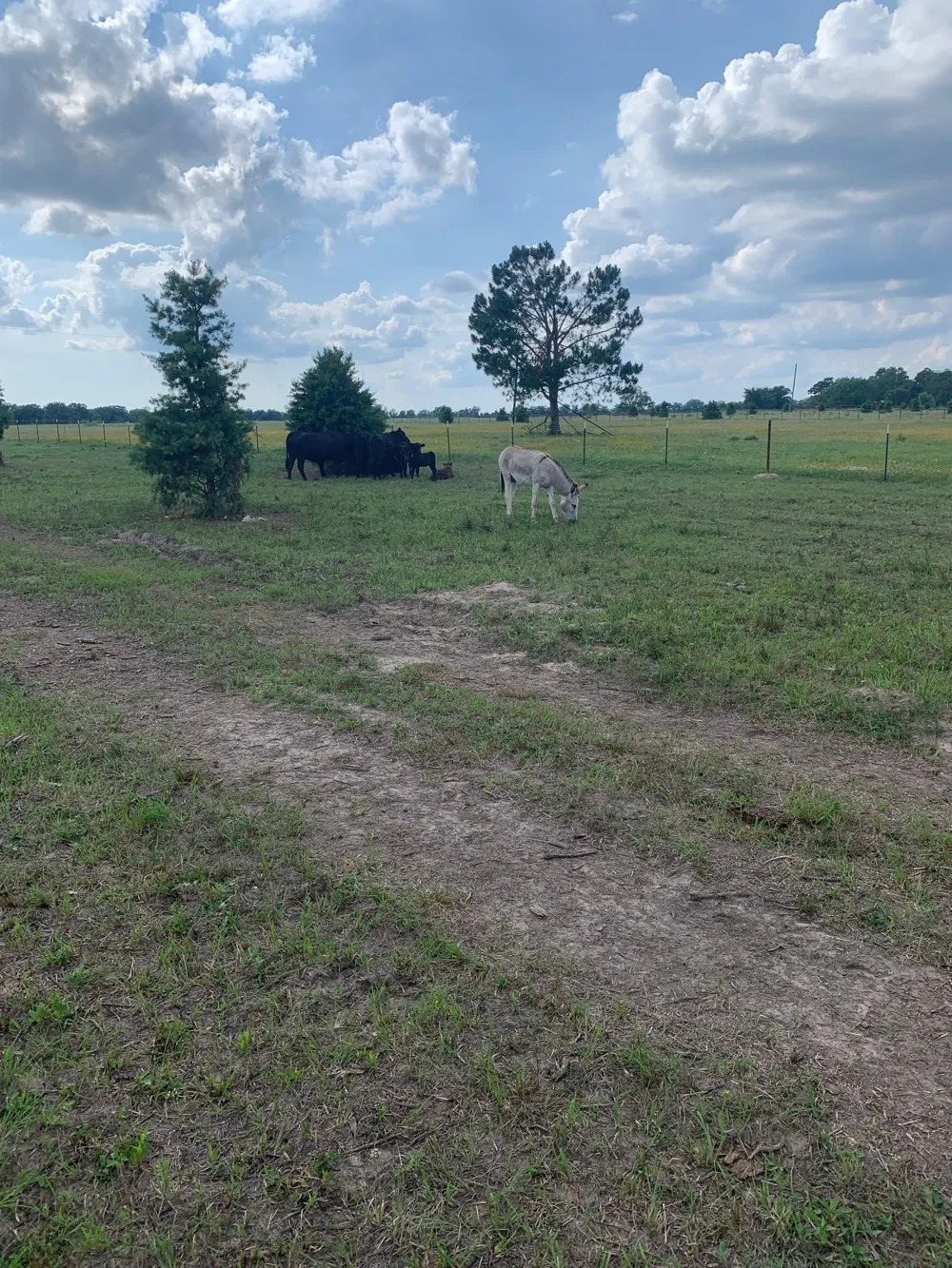 10658 County Road 350 Terrell, TX 75160
