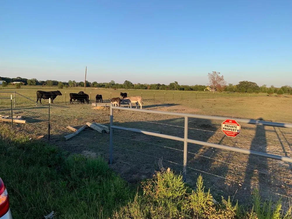 10658 County Road 350 Terrell, TX 75160
