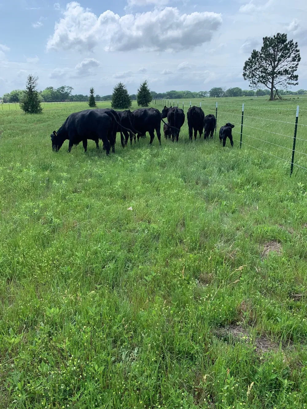 10658 County Road 350 Terrell, TX 75160