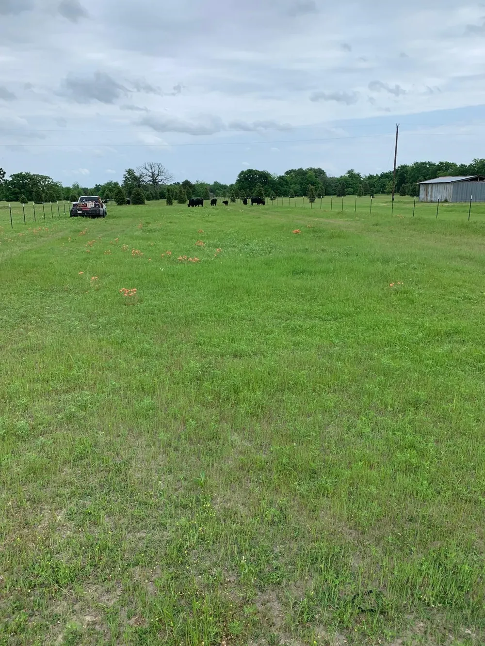 10658 County Road 350 Terrell, TX 75160