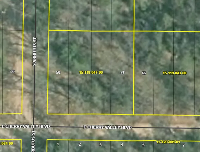1384 Cherry Valley Drive Idlewild, MI 49642