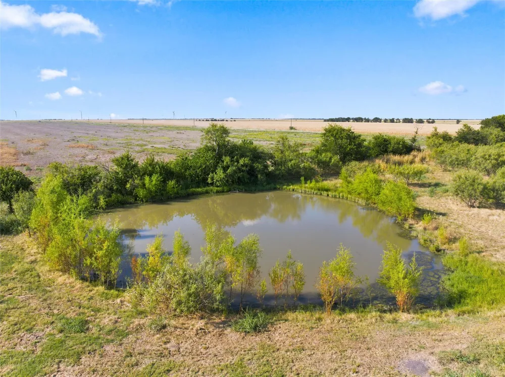 211 CR 172 Mart, TX 76664