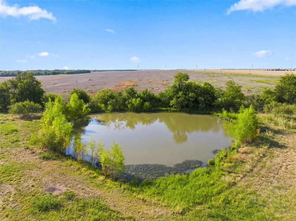 211 CR 172 Mart, TX 76664