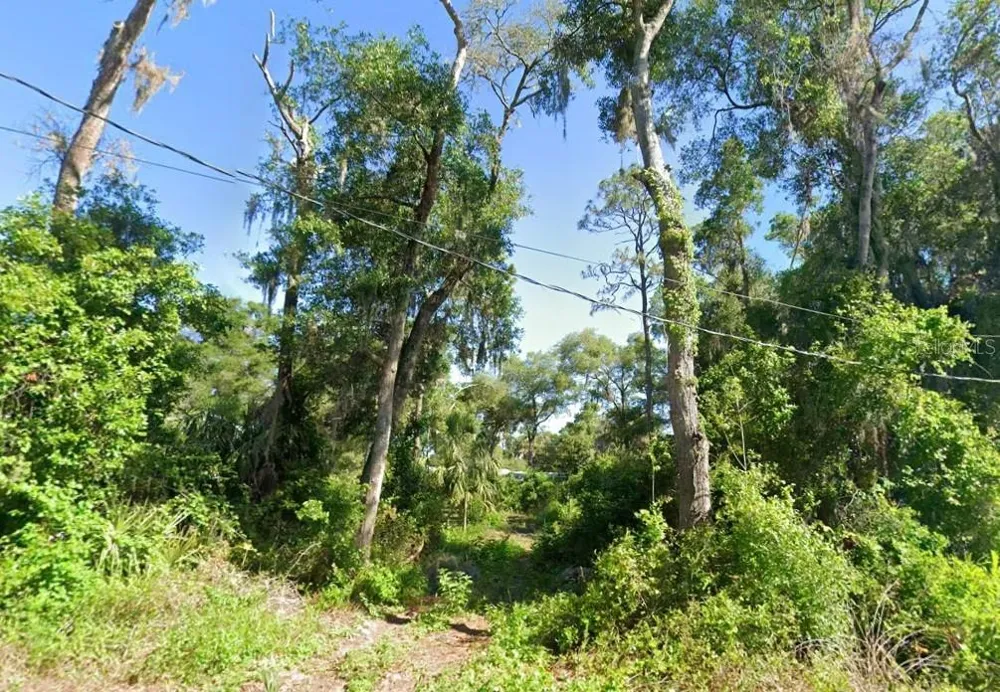 4523 E HARVARD DRIVE Hernando, FL 34442