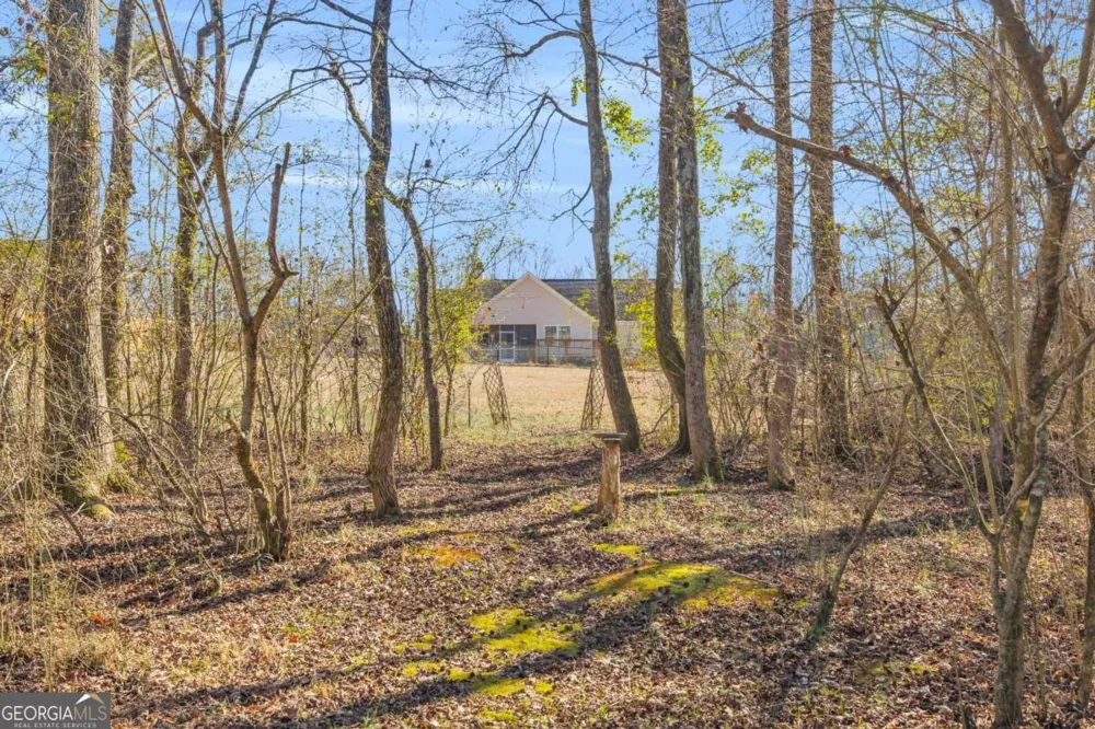 226 History TRL Winterville, GA 30683